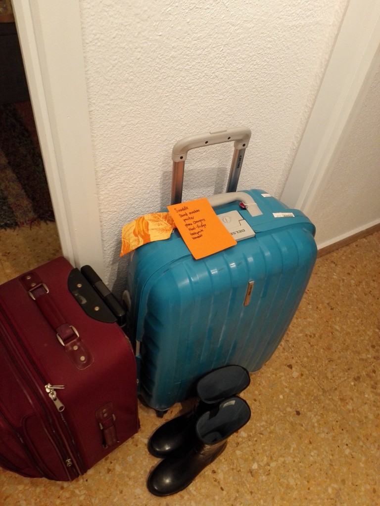 Tips for traveling internationally with a newborn/infant/baby 2 International travel with newborns and infants